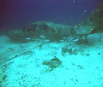 airplane wreck.jpg